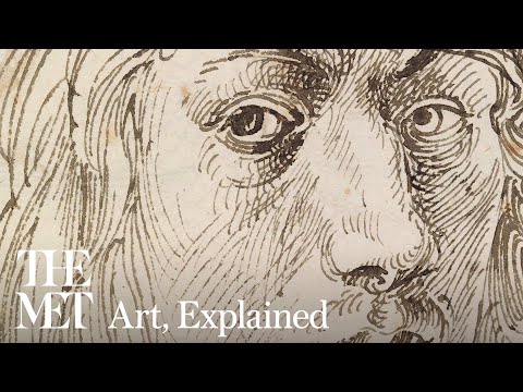 How Albrecht Drer made a statement through his studies  Art Explained