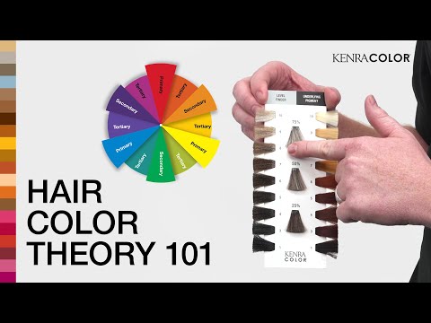 Hair Color Theory 101  Discover Kenra Color  Kenra Professional