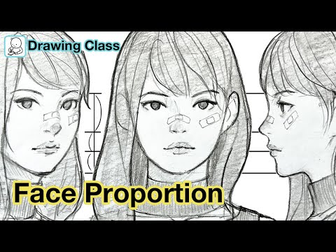 How to draw face  Face Proportions Drawing