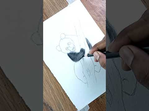 Drawing with Charcoal Pencil  Panda Drawing shorts art drawing youtubeshorts