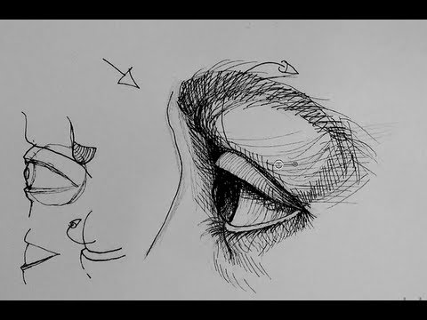 Pen and Ink Drawing Tutorials  How to draw an eye in side view