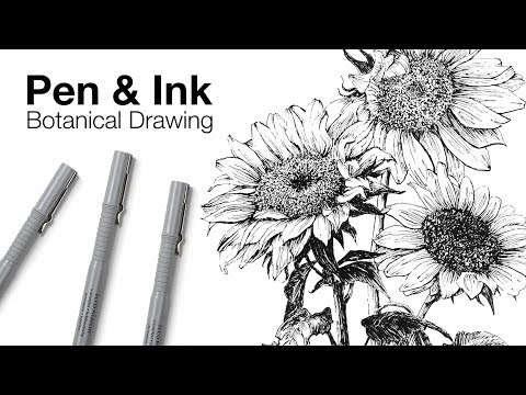 Pen and Ink Botanical Drawing