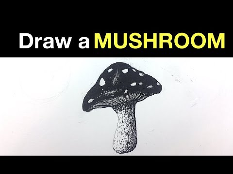 Easy Pen amp Ink Exercise  How to Draw a Mushroom