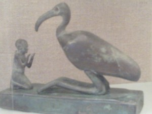 Australain Ibis (Thoth)