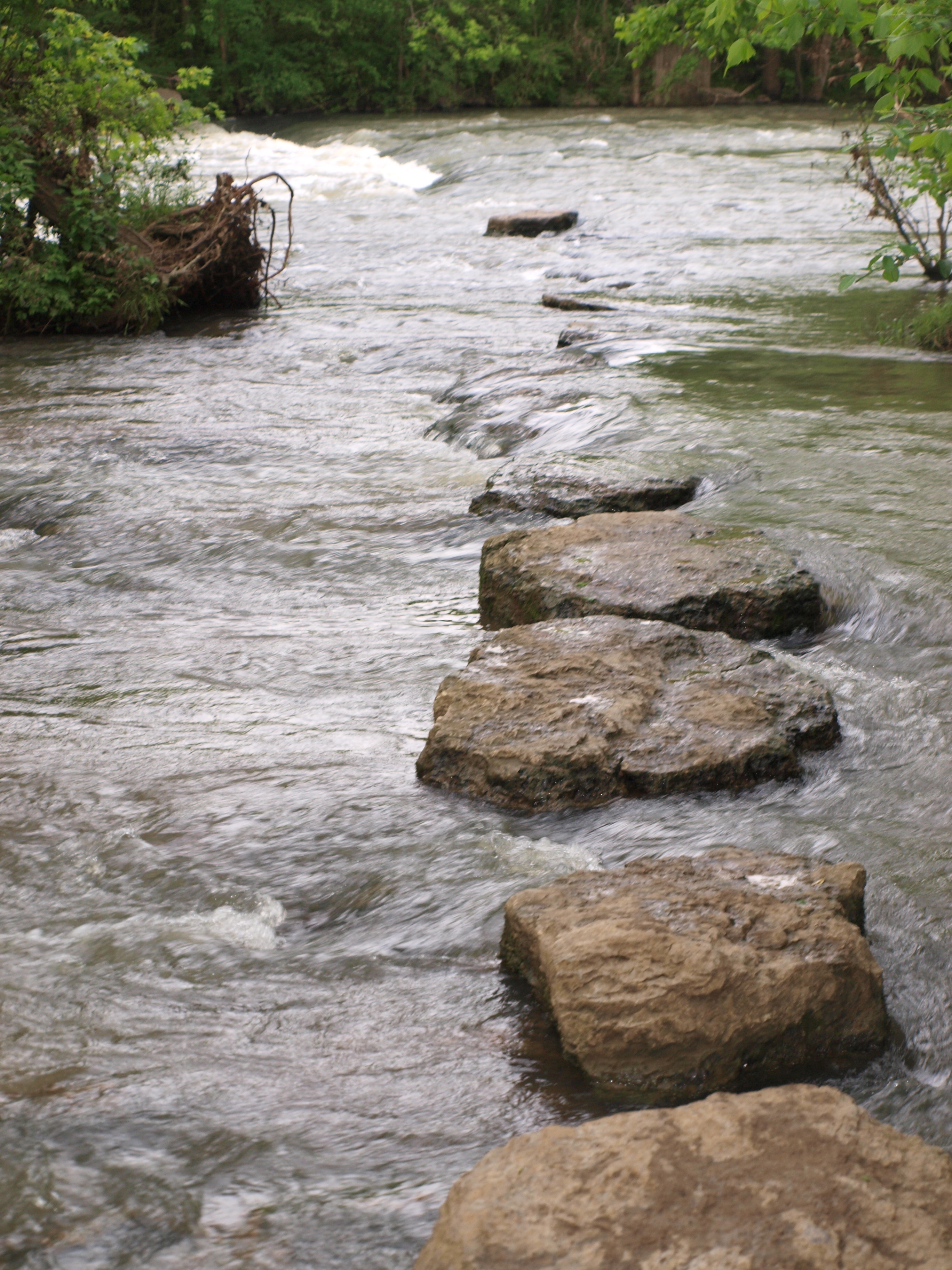 Rocks across Stream, art by David Michael Jackson