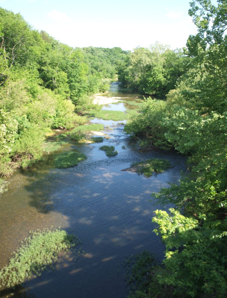 Shadows on the River art by David Michael Jackson