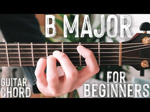 How To Play quotB Majorquot Guitar Chord  Beginner Guitar Chord Series 3 Shorts