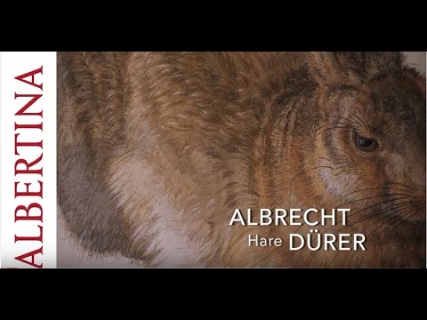 Albrecht Drer  Young Hare  1502