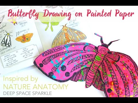 How to Draw a Butterfly Art Projects for Kids