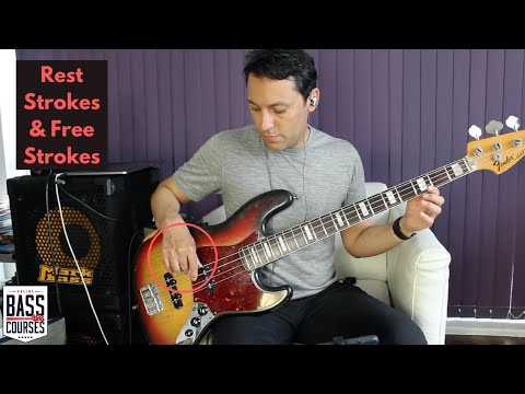 Beginner Bass Guitar Lesson Rest Strokes amp Free Strokes Plucking amp Chords