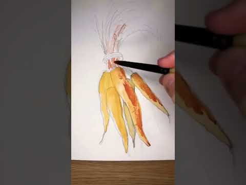 Lets dive into color theory art watercolor artwork arttutorial watercolorpainting