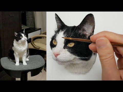 Master class How To Draw A Cat
