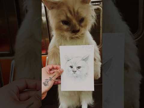 Drawing Jared Letos cat on the subway crazy reaction