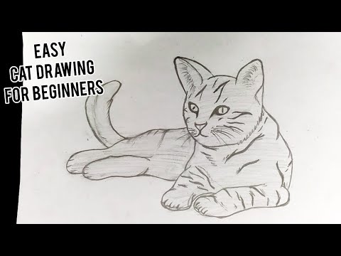 How To Draw A Cat  Easy Step By Step Cat Drawing For Beginners