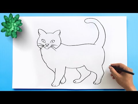 Simple Cat Drawing