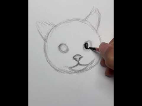 How to draw cat  Satisfying Crative Art Shorts art draw drawing painting