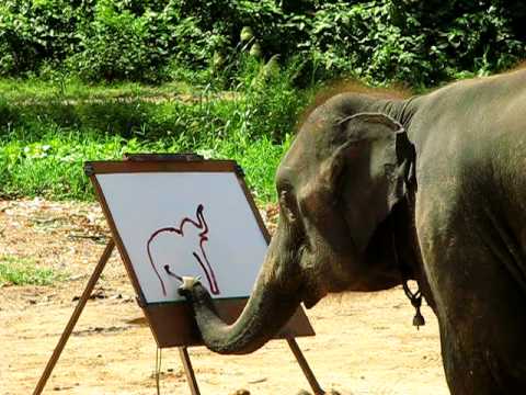 Suda  The Painting Elephant