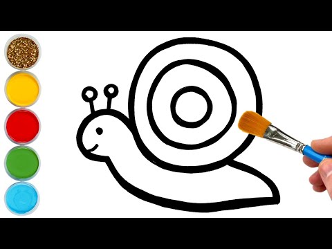 How to Draw a Snail and Turtle  Animals Drawings Painting and Coloring for Kids and Toddlers