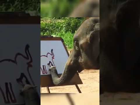 Can the elephant draw Friday fridayfun fridayfinds  drawing  painting artist animalart