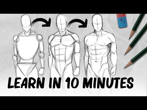 I39ll teach you drawing bodies in 10 minutes Yes really  DrawlikeaSir