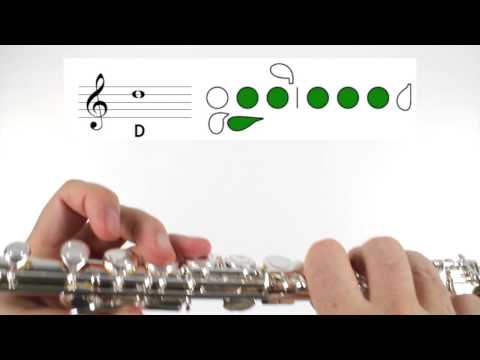 Beginner Flute Lesson 5  First Note  D