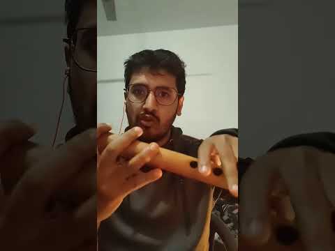 How to play flute notes      Flute lessons