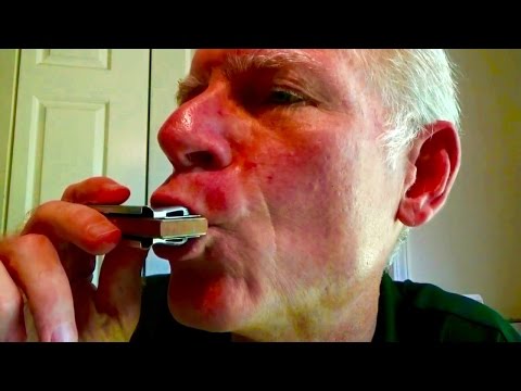 Learn Blues Harmonica 101  the essential lesson for beginners