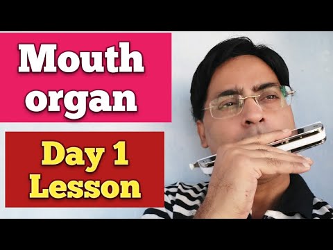 Mouth organ Day 1 lesson Harmonica basic Day 1 tutorial Mouth organ first lessonHarmonica lesson