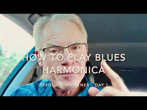 How To Play Blues Harmonica  Absolute Beginner  Day 1