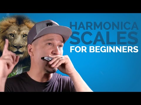 Harmonica Scales For Beginners While Learning to Play Something Cool