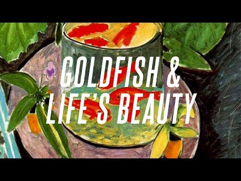 Matisse39s Goldfish and the Beauty of Life