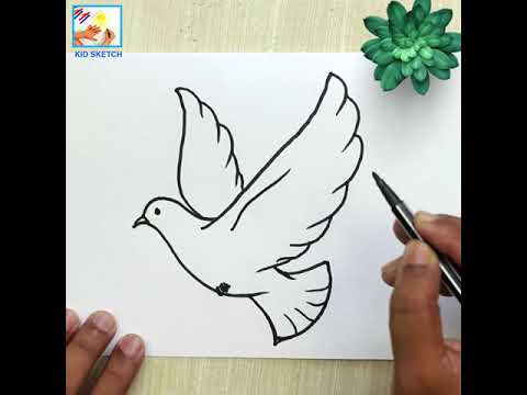 How to Draw a Flying Bird for Kids