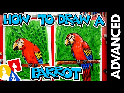 How To Draw A Bird Parrot  Advanced