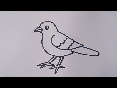 How to draw a Sparrow  easy Sparrow bird drawing step by step