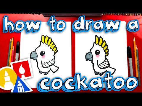 How To Draw A Cartoon Cockatoo