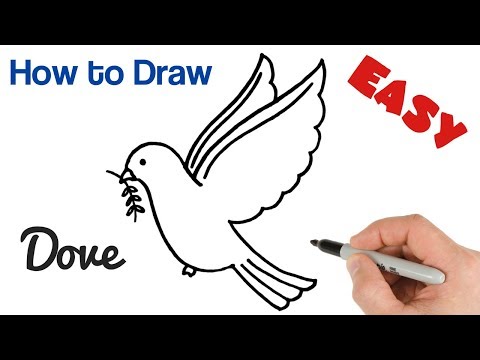 How to Draw a Dove with Olive Branch  Pigeon Drawing Easy Art Tutorial