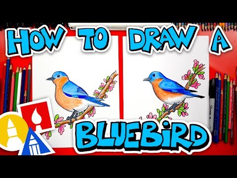 How To Draw A Bluebird
