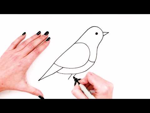 How To Draw A Bird Step By Step  Bird Drawing EASY Super Easy Drawings For Kids