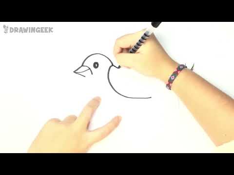 How to draw a Bird for kids  Bird Drawing Lesson Step by Step