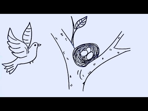 How To Draw Bird Nest Bird Nest Drawing Step By Step Very Easy Draw Bird Nest With Eggs in Tree