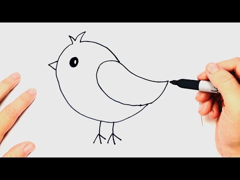 How to draw a Bird Very Easy Step by Step