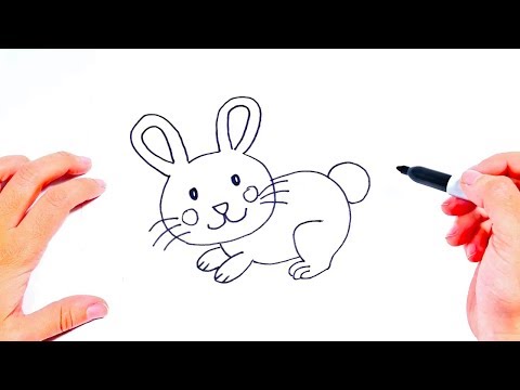 How to draw a Little Bunny for kids  Kid Drawing Videos