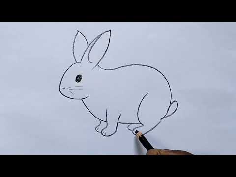how to draw rabbit drawing easy step by stepDrawingTalent