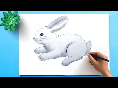 How to draw a Rabbit Easy Step by Step  Easy Bunny Rabbit Drawing Tutorial