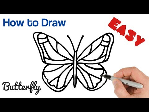 How to Draw a  Butterfly easy step by step