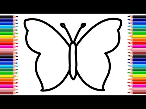 Butterfly Drawing  Easy drawing for kids