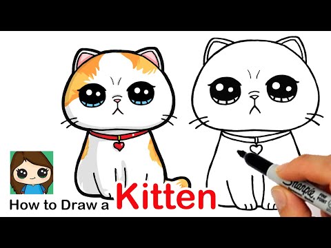 How to Draw a Kitten Easy  Exotic Shorthair Cat
