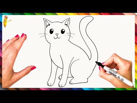 How To Draw A Cat Step By Step  Cat Drawing Easy