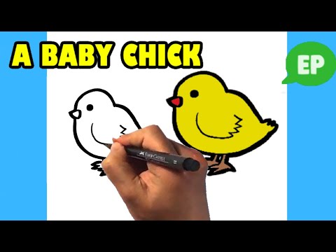 How to Draw a Baby Chick  Cute Animals  Easy Pictures to Draw