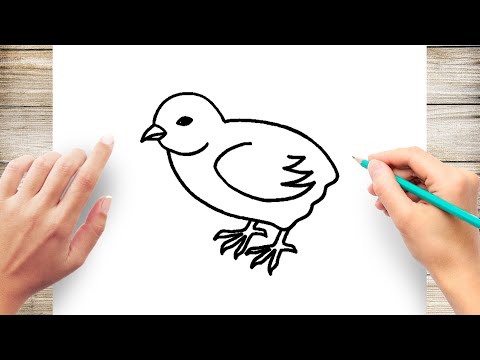 How to draw Chick Easy
